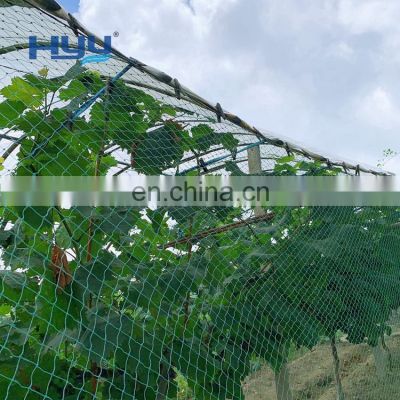 HYY anti-bird net manufacturer orchards bird nets for catching birds