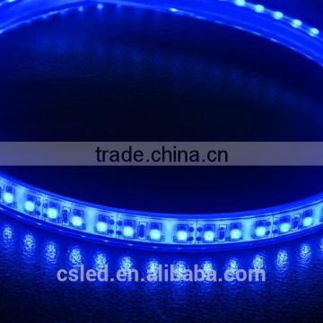 High bright SMD 3528 blue 120D 12v waterproof rgb led strip light