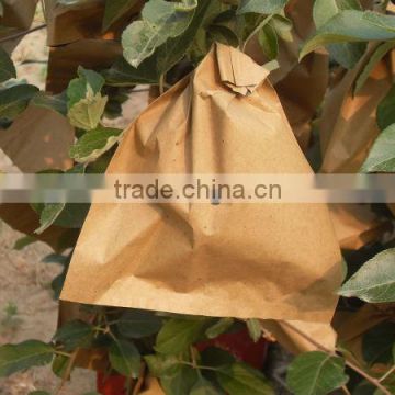 Enviromental Cultivation Paper Bag