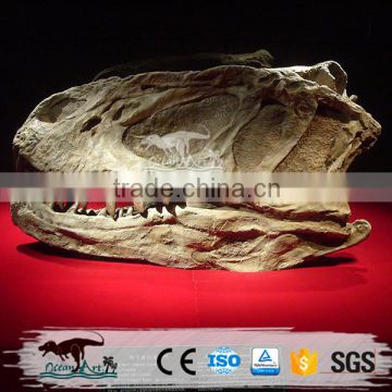 Museum standard dinosaur bone for sale