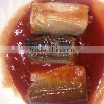 best brands canned mackerel in tomato sauce manufacturer