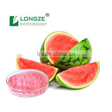 Free Sample Good Water-soluble watermelon juice powder/Spray Dried wetermelon juice powder for Food and Beverage