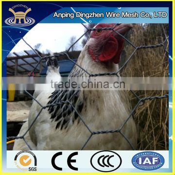 Hot-sales Hexagonal Mesh Wire/Galvanized Hexagonal wire netting for poultry netting China supplier