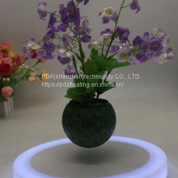 color led light maglev floating levitate bottom air bonsai tree pot