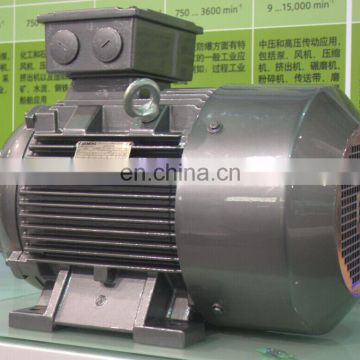 Siemens 1LE0001 series three phase induction motor electric 250kw three phase induction AC motor pump