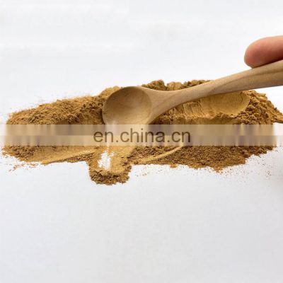 Factory Top Quality Organic Cordyceps Sinensis Extract Mushroom Powder