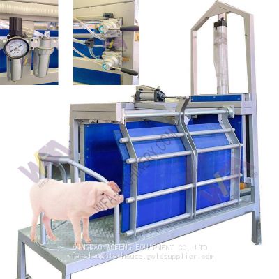 Pork Abattoir Stunning Box Slaughterhouse Equipment For Slaughter Pig