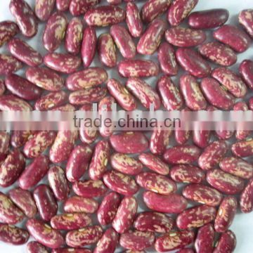 2010 New crop Red Speckled Kidney Beans