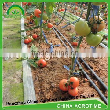 farm Irrigation drip tape/ dripping system for tomato