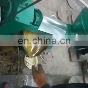 Coconut , peanut and soybean oil press machine / oil extraction machine on hot sale