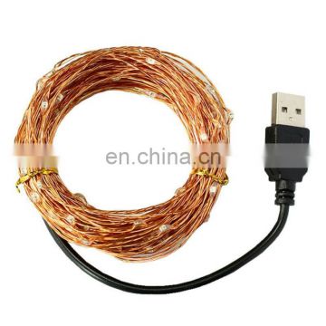 33ft 100LED Fairy String Light String Copper Wire USB Plug