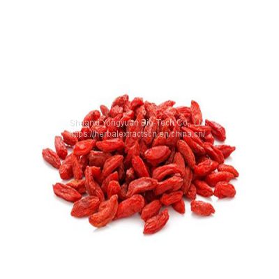 Wolfberry polysaccharides, Goji berry extract Powder, Lycium Barbarum Extract, Goji polysaccharides, Manufacturer, Yongyuan Bio