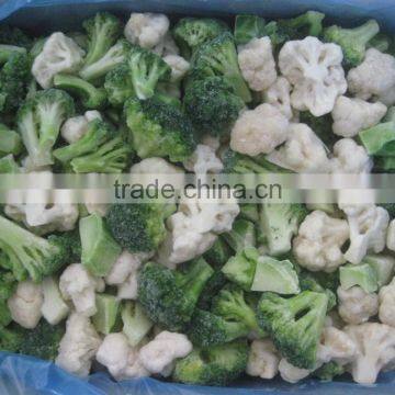 supply 2015 season frozen winter mix vegetable