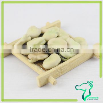 Broad Beans Origin Gansu In China