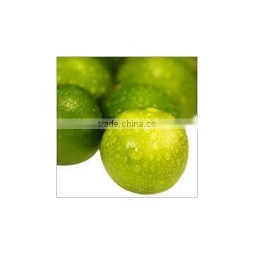 Lime Oil wholesalers.