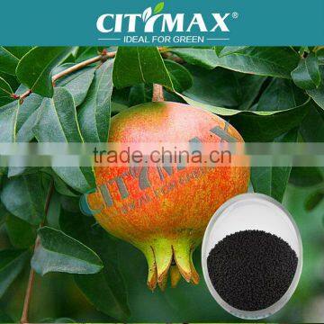 Humic Acid Extracted From Brown Coal