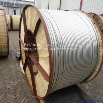 Aluminum Conductor Steel Wire Reinforced ACSR for Power Transmission Line