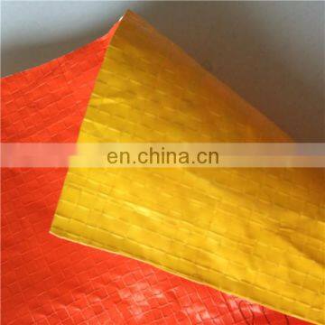 Pe tarpaulin with blue stripes china