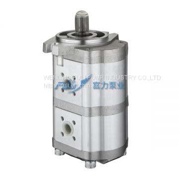 New Product Constant Flow pump  hydraulic gear pump for DONG FANG HONG tractor pump CBZ-F20-8AFK-L
