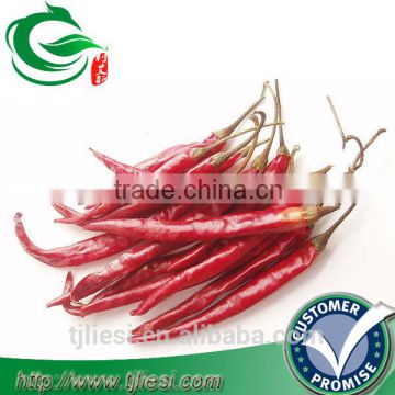 supply red chili for pungent spice