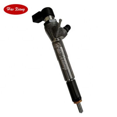 Haoxiang Common Rail Inyectores Diesel Engine spare parts Fuel Diesel Injector Nozzle 166008052R For Renault Dacia Nissan 1.5dCi