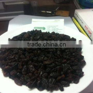 INDIAN RAISIN FOR NATHERLAND