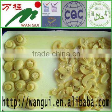 all types of canned mushrooms factory price