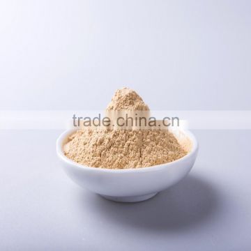 AD 25KG Per Bag Yellow Ginger Powder for Sale
