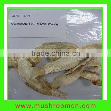 Dried Matsutake Mushroom