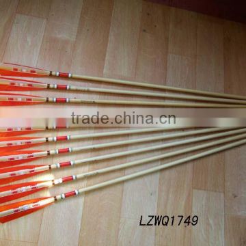 Feather Arrows LZWQ1749