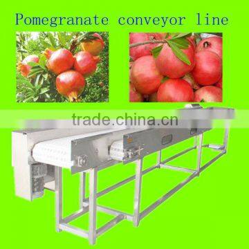 vegetable&fruit working desktop belt conveying machine