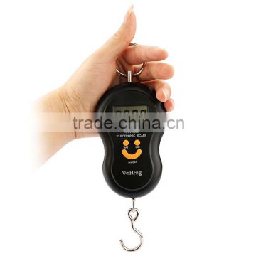 Portable Electronic Fishing scale