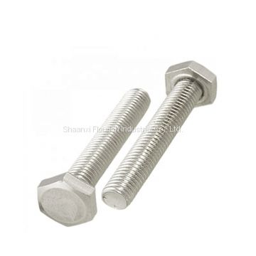 Stainless steel Hex. Bolt with Nut