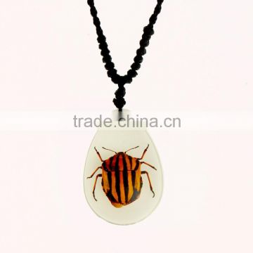 2016 lovely gifts resin necklace with real insect