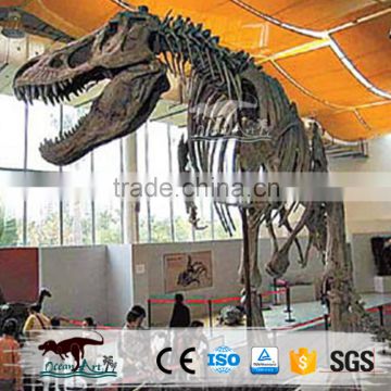 Simulation dinosaur fake skeleton