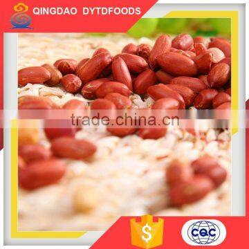 China Hot-Selling Organic Red Skin Roasted Peanuts From China