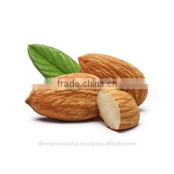 Pure Almond Oil (Prunus Amygdalus)