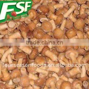 frozen nameko ,fresh nameko mushroom 2014 new crop