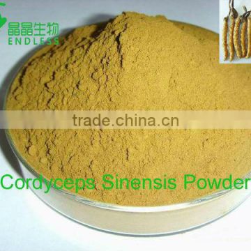 Mushroom product, 100% pure and nature dongchongxiacao powder,health supplement