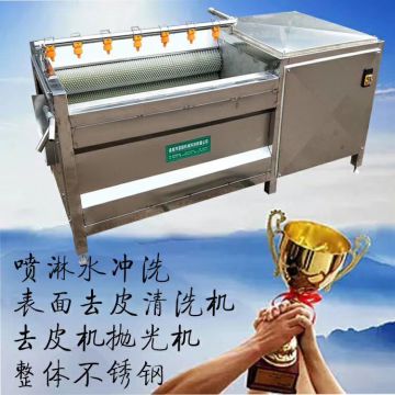 Spray Type Bubble Cleaning Automatic Fruit And Vegetable Washer