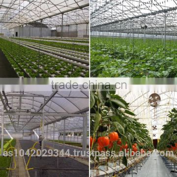 Versatile Nursery Greenhouse for Seedling, Soilless agriculture products and Drip Irrigation