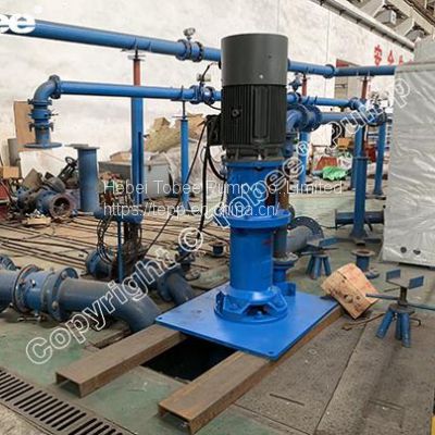 Tobee® TP100RV vertical spindle pump