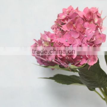 Reasonable price crazy selling hydrangea for wedding background decoration