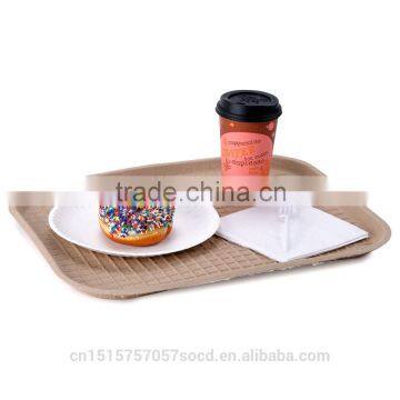 Molded Pulp Biodegradable food serving Tray