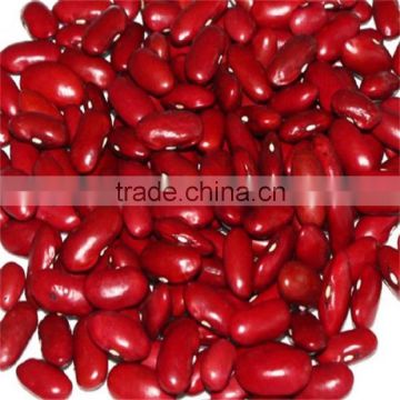 Red Kideny Bean