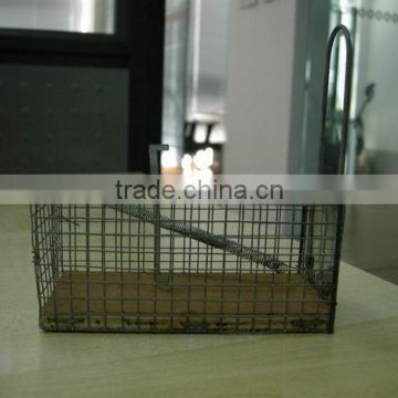 Hot sale galvanized wooden base mouse trap in veterinary instrument