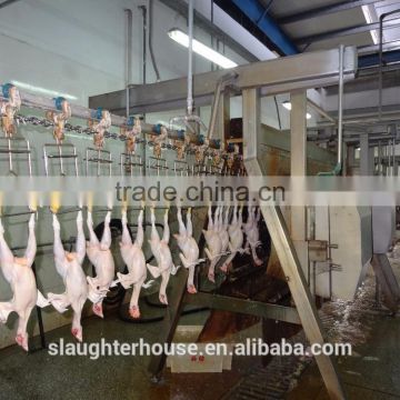 Energy saving stainless steel poultry farming equipment slaughtering plants