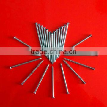 Hot Selling Product Common Iron Nails With Low Prices