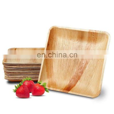 6'' 8'' 10'' Square And Round Natural Palm Leaf Party Picnic Camping Disposable Biodegradable Cycle Plates