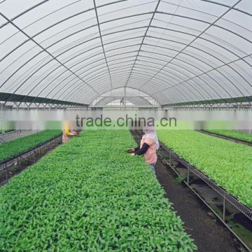 greenhouse sheet